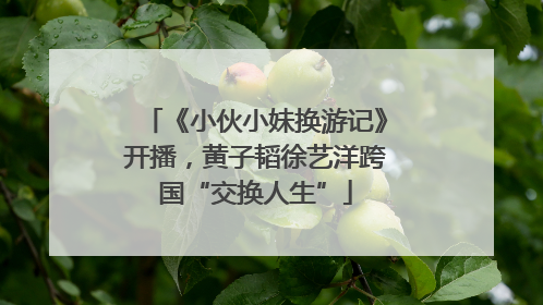《小伙小妹换游记》开播，黄子韬徐艺洋跨国“交换人生”