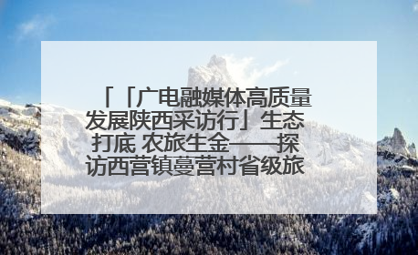 「广电融媒体高质量发展陕西采访行」生态打底 农旅生金——探访西营镇蔓营村省级旅游示范村的振兴密码