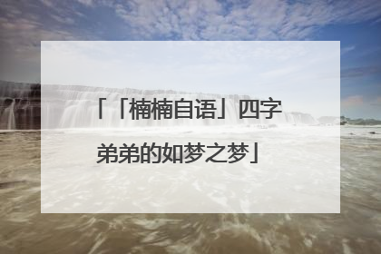 「楠楠自语」四字弟弟的如梦之梦
