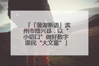 「蒲湖新语」滨州市博兴县：以“小切口”做好数字惠民“大文章”