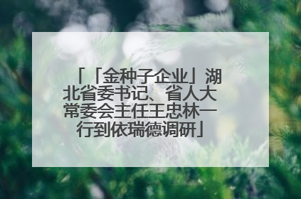 「金种子企业」湖北省委书记、省人大常委会主任王忠林一行到依瑞德调研