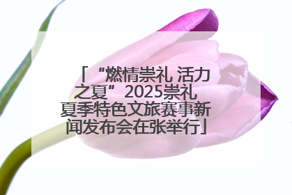 “燃情崇礼 活力之夏”2025崇礼夏季特色文旅赛事新闻发布会在张举行