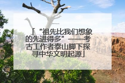 “祖先比我们想象的先进得多”——考古工作者泰山脚下探寻中华文明起源