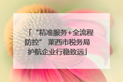“精准服务+全流程防控” 莱西市税务局护航企业行稳致远