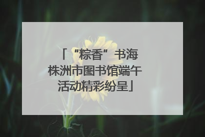 “粽香”书海 株洲市图书馆端午活动精彩纷呈