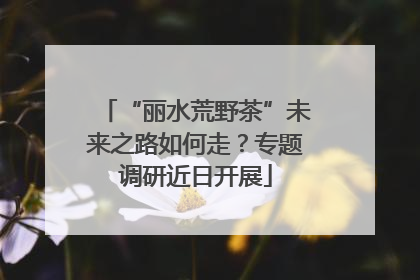 “丽水荒野茶”未来之路如何走？专题调研近日开展