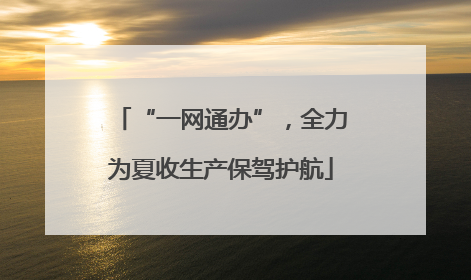 “一网通办”，全力为夏收生产保驾护航