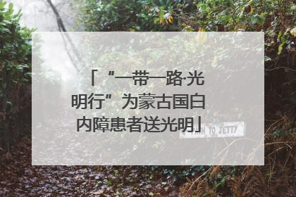 “一带一路·光明行”为蒙古国白内障患者送光明