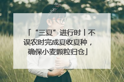 “三夏”进行时丨不误农时完成夏收夏种，确保小麦颗粒归仓