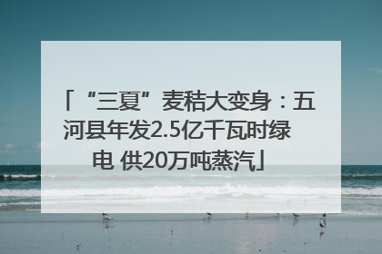 “三夏”麦秸大变身：五河县年发2.5亿千瓦时绿电 供20万吨蒸汽