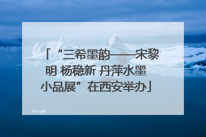 “三希墨韵——宋黎明 杨稳新 丹萍水墨小品展”在西安举办