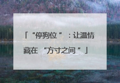 “停狗位 ”：让温情藏在 “方寸之间 ”