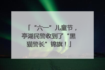 “六一”儿童节，亭湖民警收到了“黑猫警长”锦旗！