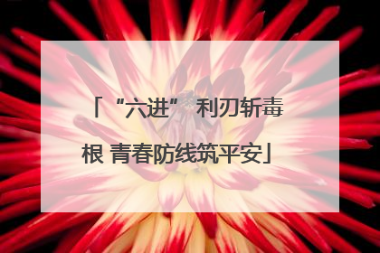 “六进” 利刃斩毒根 青春防线筑平安