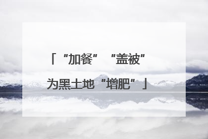 “加餐”“盖被” 为黑土地“增肥”