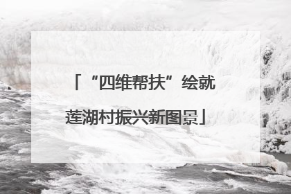 “四维帮扶”绘就莲湖村振兴新图景