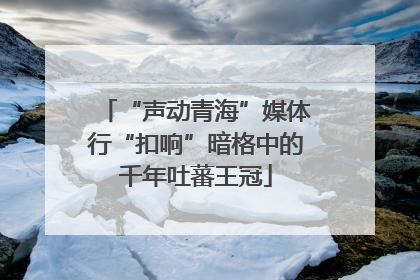 “声动青海”媒体行“扣响”暗格中的千年吐蕃王冠