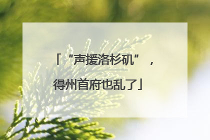 “声援洛杉矶”，得州首府也乱了