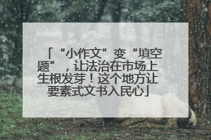 “小作文”变“填空题”，让法治在市场上生根发芽！这个地方让要素式文书入民心
