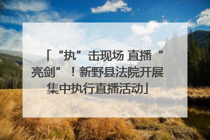 “执”击现场 直播“亮剑”！新野县法院开展集中执行直播活动