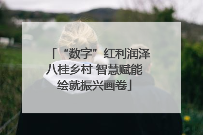“数字”红利润泽八桂乡村 智慧赋能绘就振兴画卷