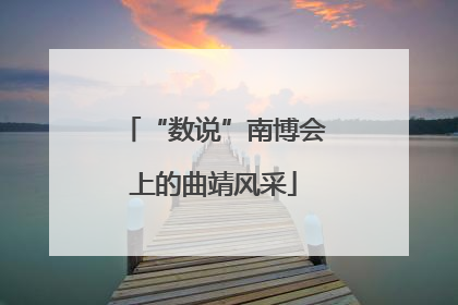 “数说”南博会上的曲靖风采