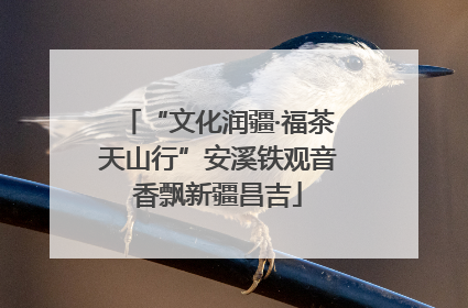 “文化润疆·福茶天山行”安溪铁观音香飘新疆昌吉