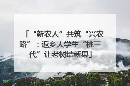 “新农人”共筑“兴农路”：返乡大学生“桃三代”让老树结新果