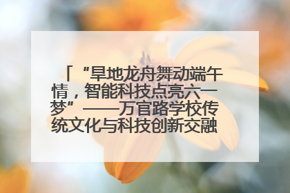 “旱地龙舟舞动端午情，智能科技点亮六一梦”——万官路学校传统文化与科技创新交融的精彩盛宴