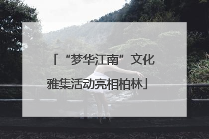 “梦华江南”文化雅集活动亮相柏林