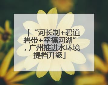 “河长制+碧道碧带+幸福河湖”，广州推进水环境提档升级