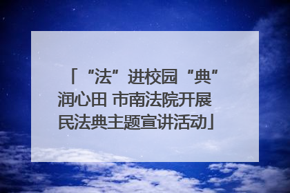 “法”进校园“典”润心田 市南法院开展民法典主题宣讲活动