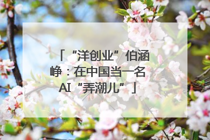 “洋创业”伯涵峥：在中国当一名AI“弄潮儿”