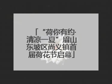 “荷你有约·清凉一夏”眉山东坡区尚义镇首届荷花节启幕