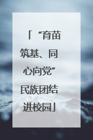 “育苗筑基、同心向党”民族团结进校园