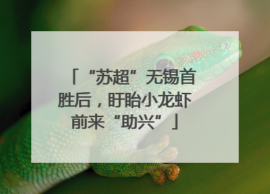 “苏超”无锡首胜后，盱眙小龙虾前来“助兴”