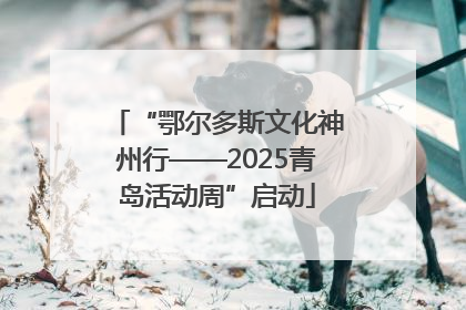 “鄂尔多斯文化神州行——2025青岛活动周”启动