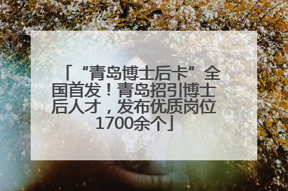 “青岛博士后卡”全国首发！青岛招引博士后人才，发布优质岗位1700余个