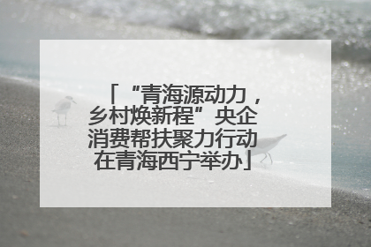 “青海源动力，乡村焕新程”央企消费帮扶聚力行动在青海西宁举办