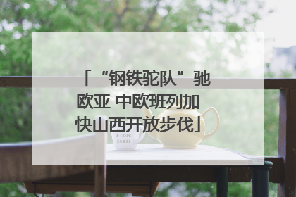 “钢铁驼队”驰欧亚 中欧班列加快山西开放步伐