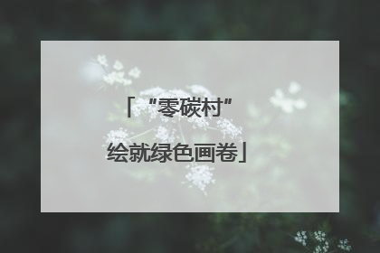 “零碳村” 绘就绿色画卷