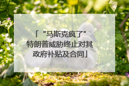 “马斯克疯了” 特朗普威胁终止对其政府补贴及合同