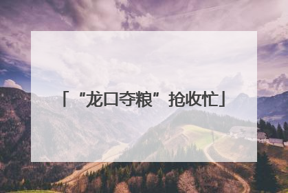 “龙口夺粮”抢收忙