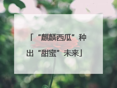 “麒麟西瓜”种出“甜蜜”未来