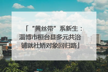 “黄丝带”系新生：淄博市桓台县多元共治铺就社矫对象回归路