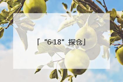 “6·18”探仓