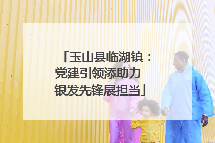 玉山县临湖镇：党建引领添助力 银发先锋展担当