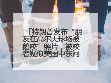 特朗普发布“朋友在高尔夫球场被鹅咬”照片，被咬者疑似美国中东问题特使