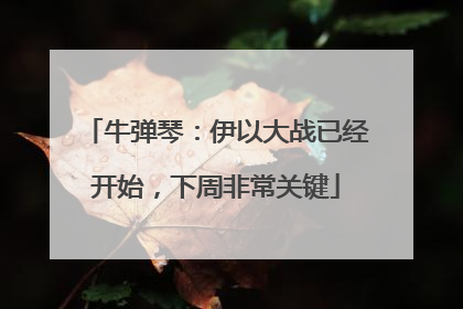 牛弹琴：伊以大战已经开始，下周非常关键