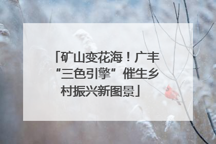 矿山变花海！广丰“三色引擎”催生乡村振兴新图景